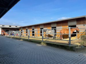 Paddockboxen Innenhof