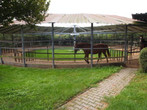 Freilauführanlage