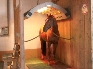 Solarium